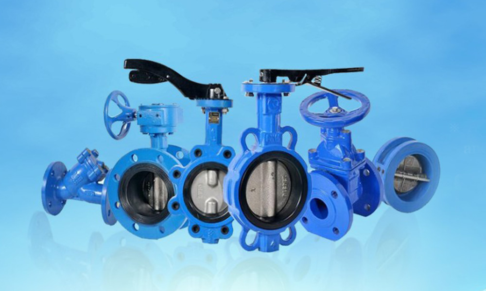 Sealing Solutions - PRODUCTS - Valves - FI